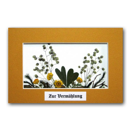 BR_zurVermaehlung